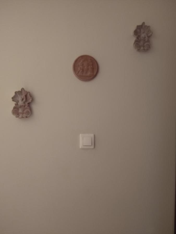 Acropolis Within 10 Minutes Walk! Classical Apartment And A Hostess At Your Side! Atena Exterior foto